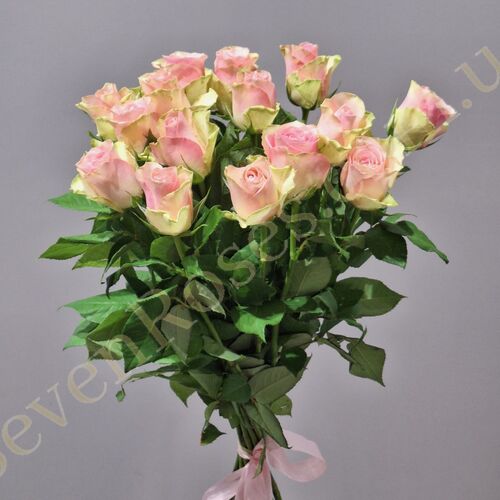 15 троянд Belle Rose 60см