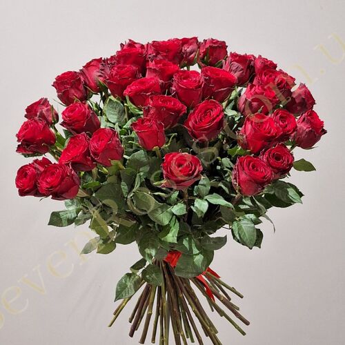 45 троянд Madam Red 60см