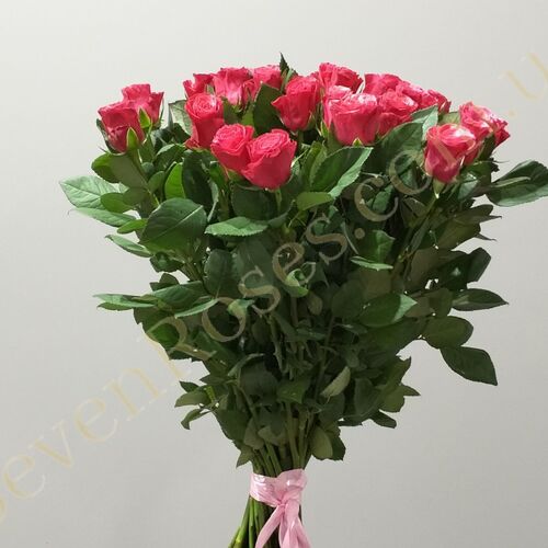 35 троянд Tacazzi 70см