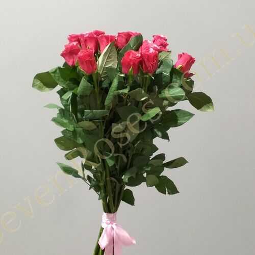 15 троянд Tacazzi 70см