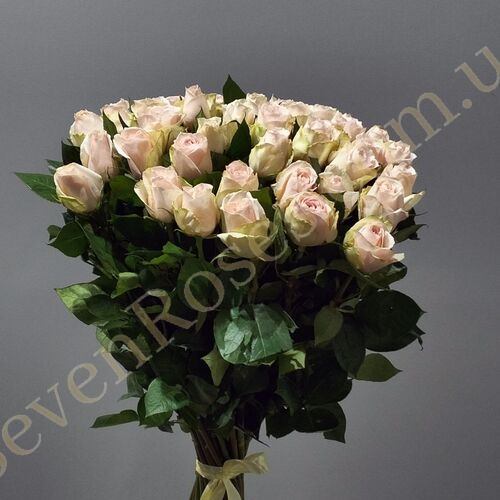 35 Троянд High & Bridal 80см