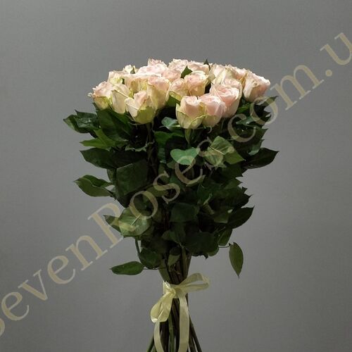 25 Троянд High & Bridal 80см