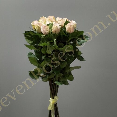 15 Троянд High & Bridal 80см