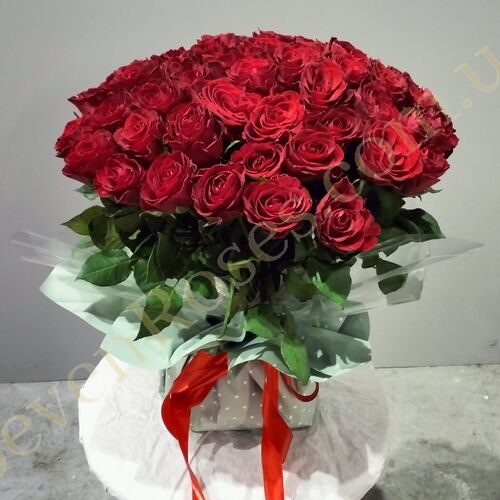 51 троянда Madam Red 40см