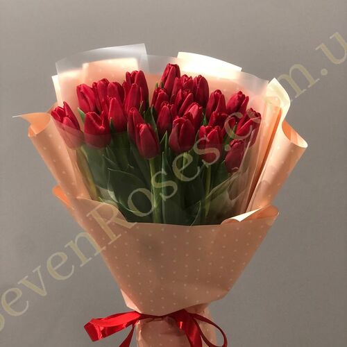 Букет 25 черврних тюльпанів в упаковці