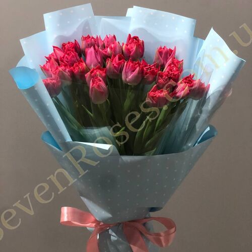 Букет 25 червоних півоноподібних тюльпанів в упаковці