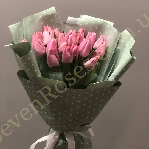 Букет 25 рожевих тюльпанів в упаковці