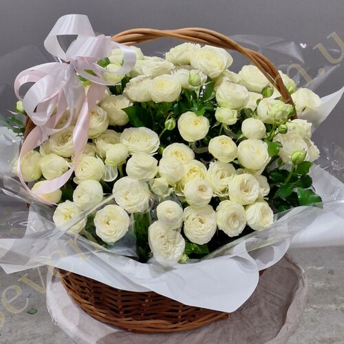 Білі півоновидні троянди Сноу Ворлд в плетеному кошику