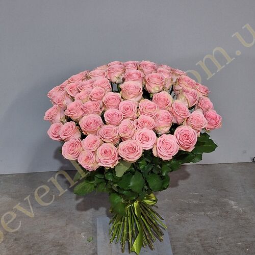 75 троянд Софі Лорен 80см