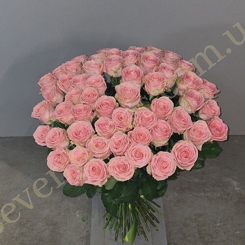 45 троянд Софі Лорен 80см