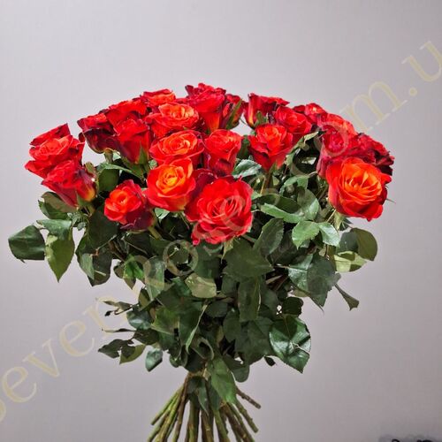 35 троянд Fiorella 70см