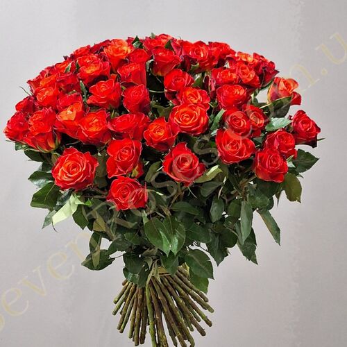 45 троянд Fiorella 70см