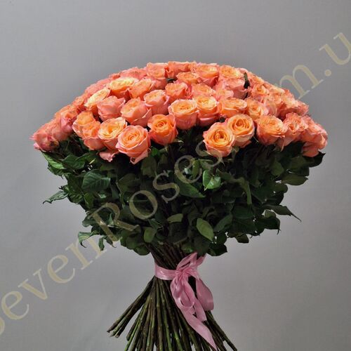101 троянда Lady Margaret 80см