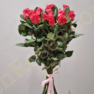 Троянда Pink Tacazzi 70см