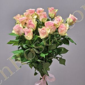 Троянда Belle Rose 70см