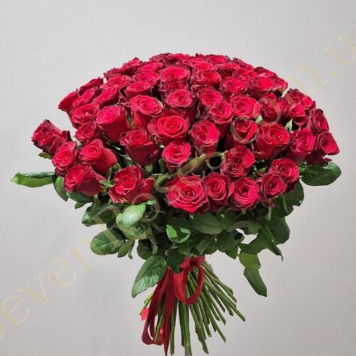 75 троянд Rhodos 60см