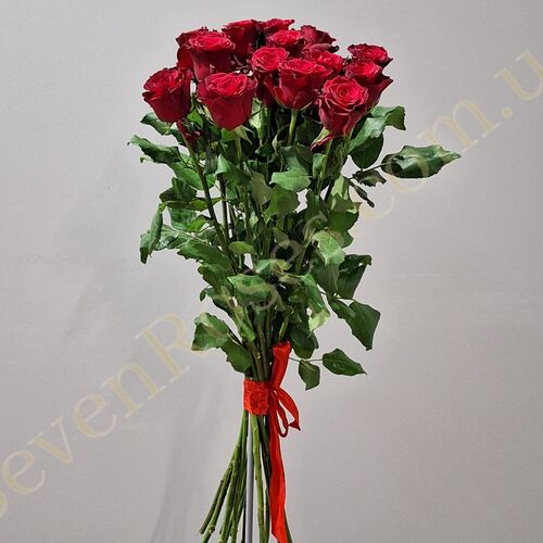 15 троянд Rhodos 80см