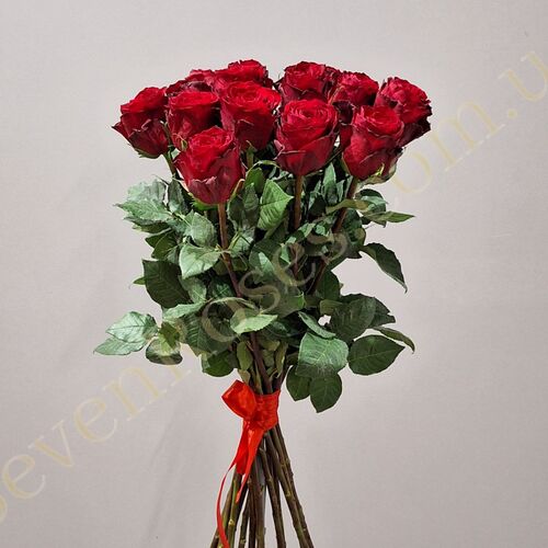15 троянд Madam Red 80см