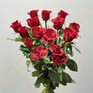Троянда Ever Red 70см