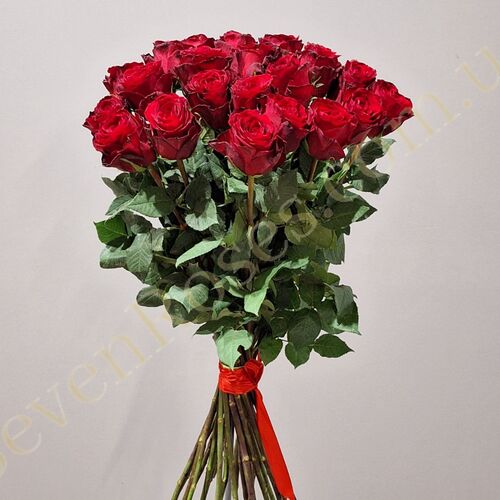 25 троянд Madam Red 70см