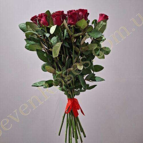 15 троянд Red Tacazzi 80см