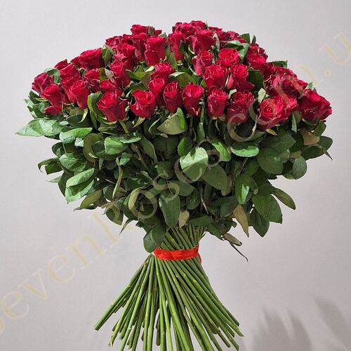101 троянда Red Tacazzi 80см
