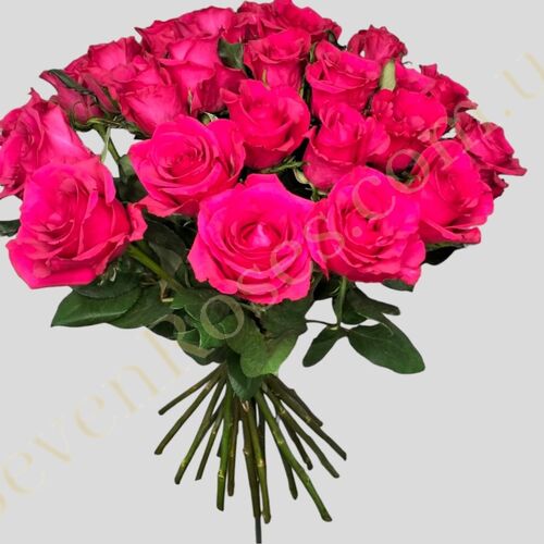 Троянда Ever Pink 70см