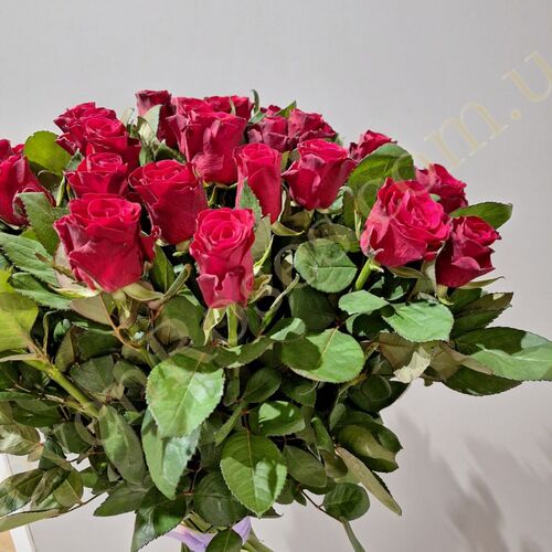 45 троянд Red Tacazzi 80см