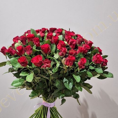 75 троянд Red Tacazzi 80см