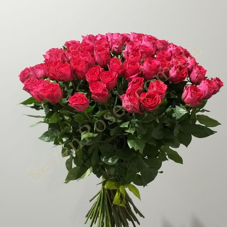 Букети з 75 троянд у Дніпрі