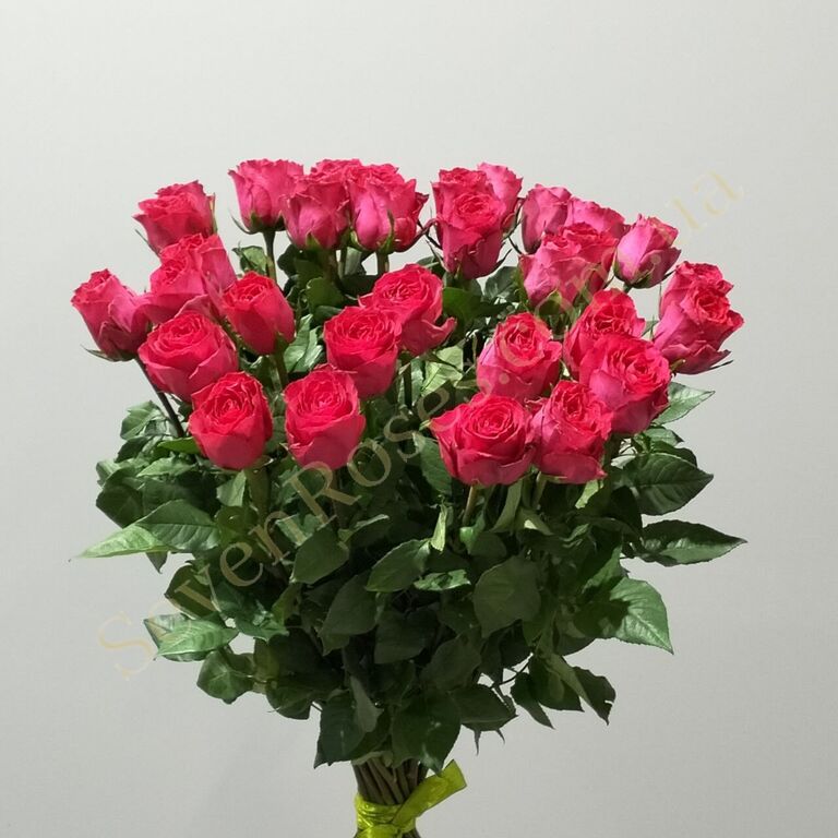 Букети з 35 троянд у Дніпрі