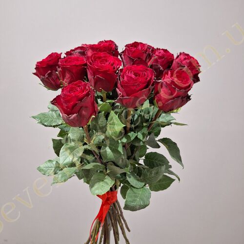 15 троянд Madam Red 60см