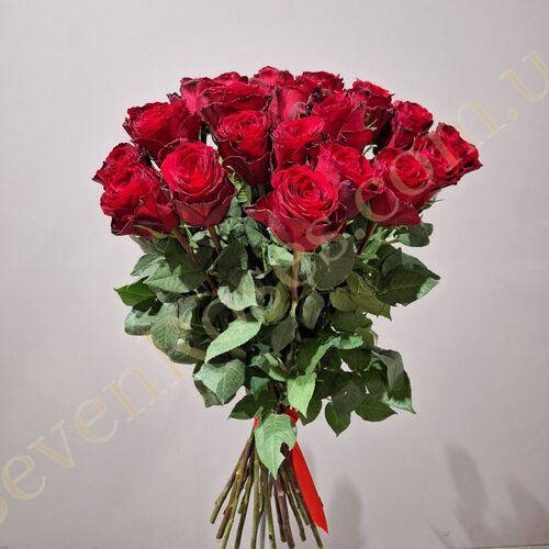 25 троянд Madam Red 60см
