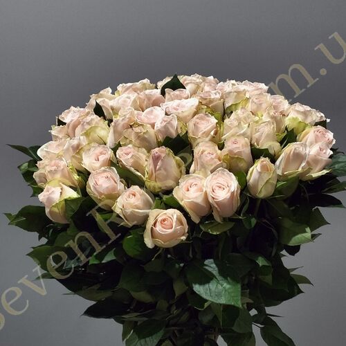 75 Троянд High & Bridal 80см