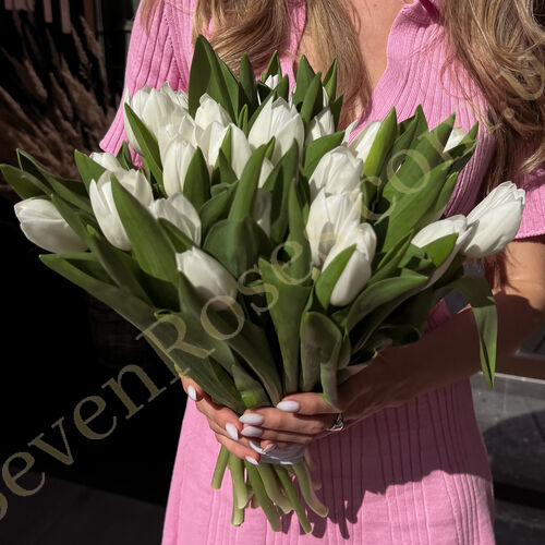 Букет білих тюльпанів 35шт