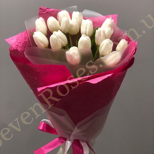 Букет білих тюльпанів в упаковці 19шт