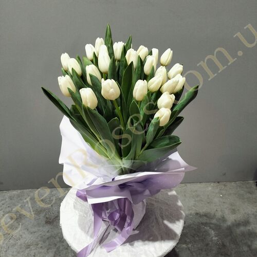 Букет з 25 білих тюльпанів