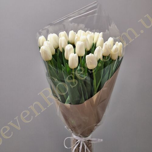 букет із 25 білих тюльпанів