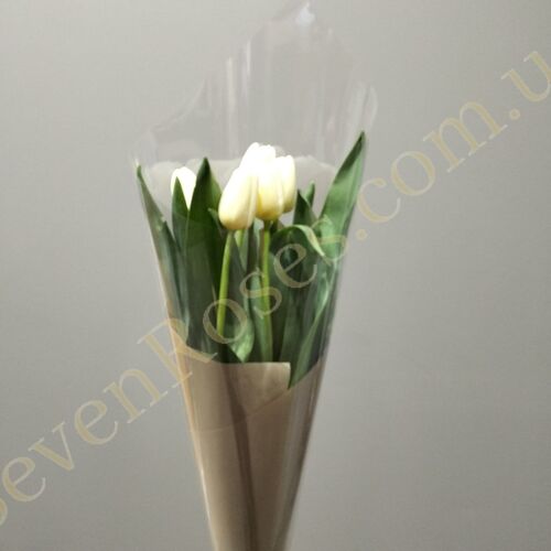 букет із 5 білих тюльпанів