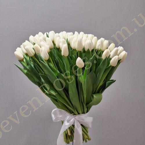 букет из 75 белых тюльпанов