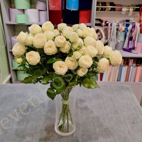 9 белых пионовидных роз Сноу Ворлд 50см