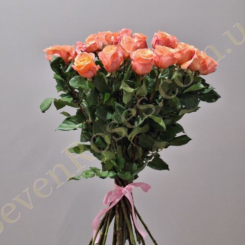 25 троянд Lady Margaret 80см