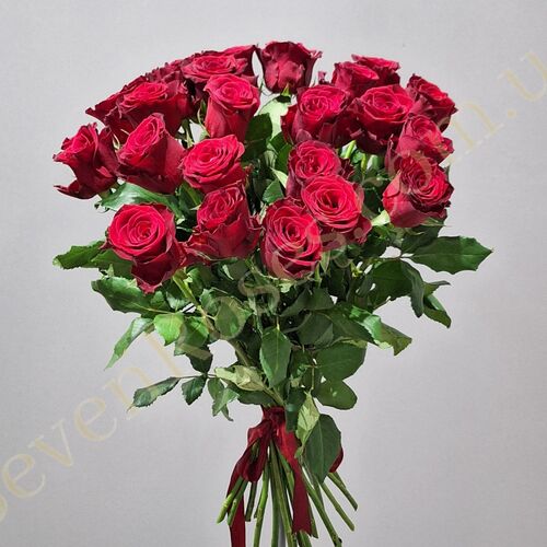 25 троянд Rhodos 60см