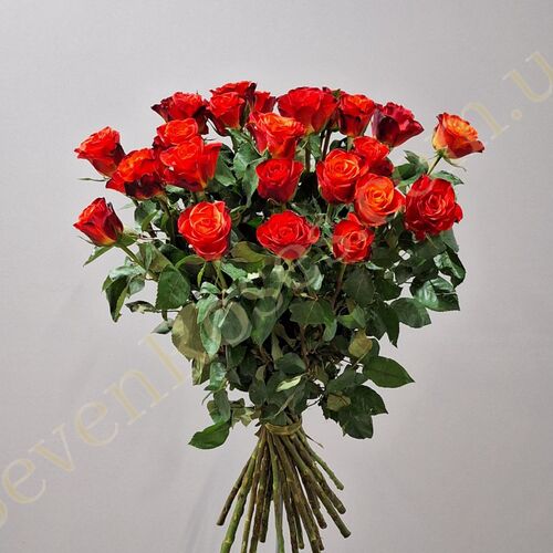 25 троянд Fiorella 80см