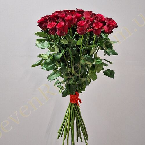 25 троянд Rhodos 80см