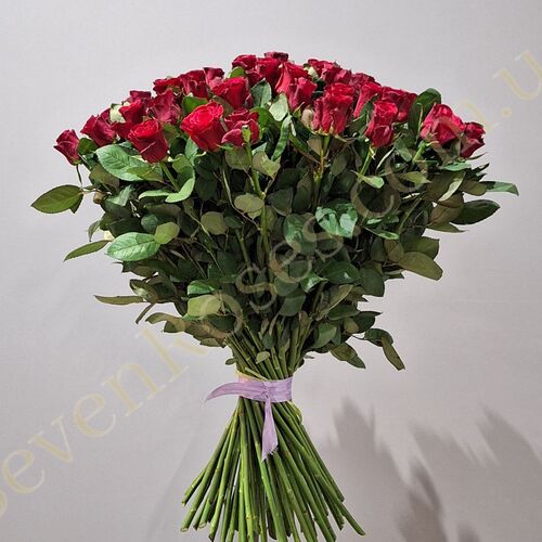 51 троянда Red Tacazzi 80см