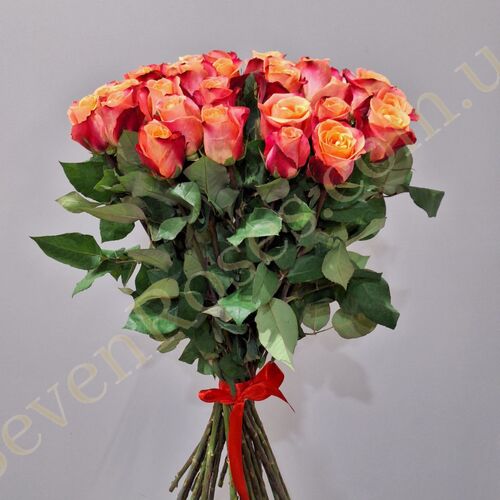 25 троянд Helene 80см