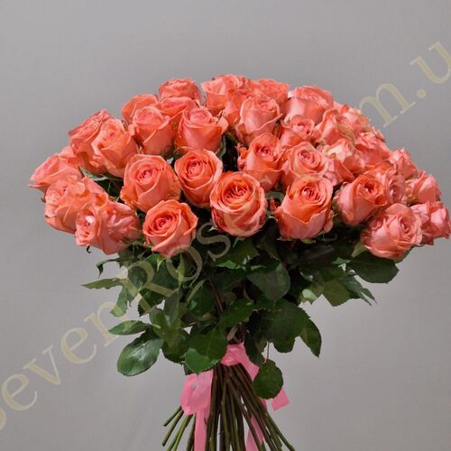 45 троянд Sankara 60см