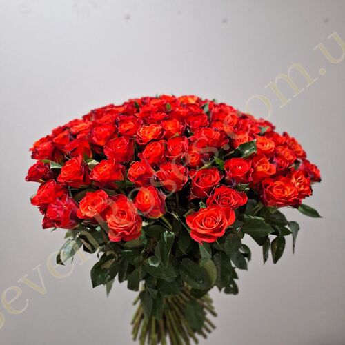 101 троянда Fiorella 60см